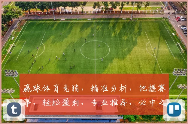 赢球体育竞猜，精准分析，把握赛事，轻松盈利，专业推荐，必中之道，一触即发