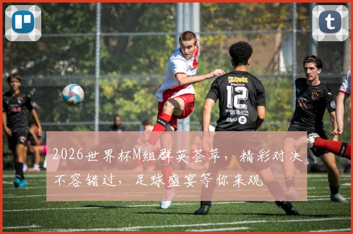 2026世界杯M组群英荟萃，精彩对决不容错过，足球盛宴等你来观