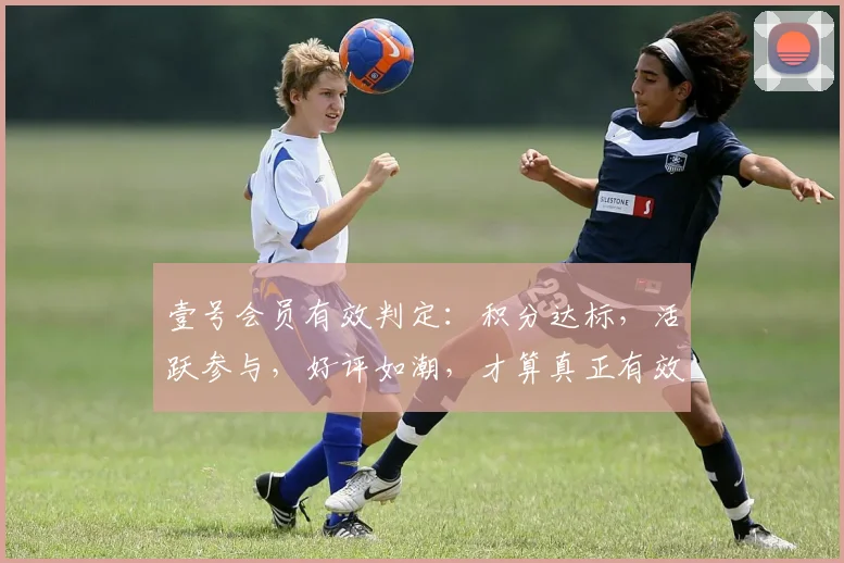 壹号会员有效判定：积分达标，活跃参与，好评如潮，才算真正有效会员。