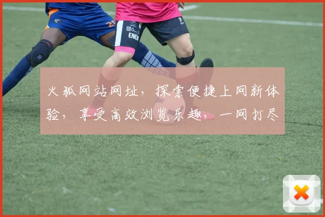 火狐网站网址，探索便捷上网新体验，享受高效浏览乐趣，一网打尽精彩内容，轻松访问