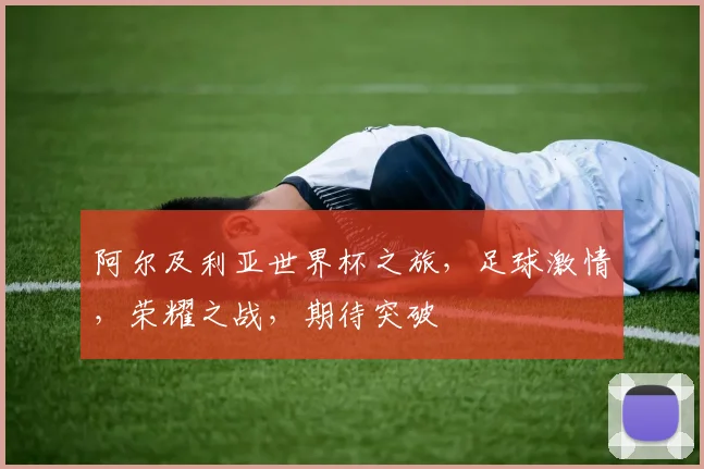 阿尔及利亚世界杯之旅，足球激情，荣耀之战，期待突破