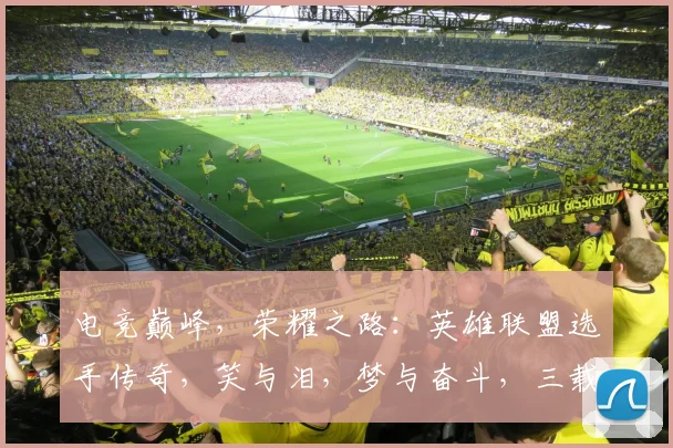 电竞巅峰，荣耀之路：英雄联盟选手传奇，笑与泪，梦与奋斗，三载春秋